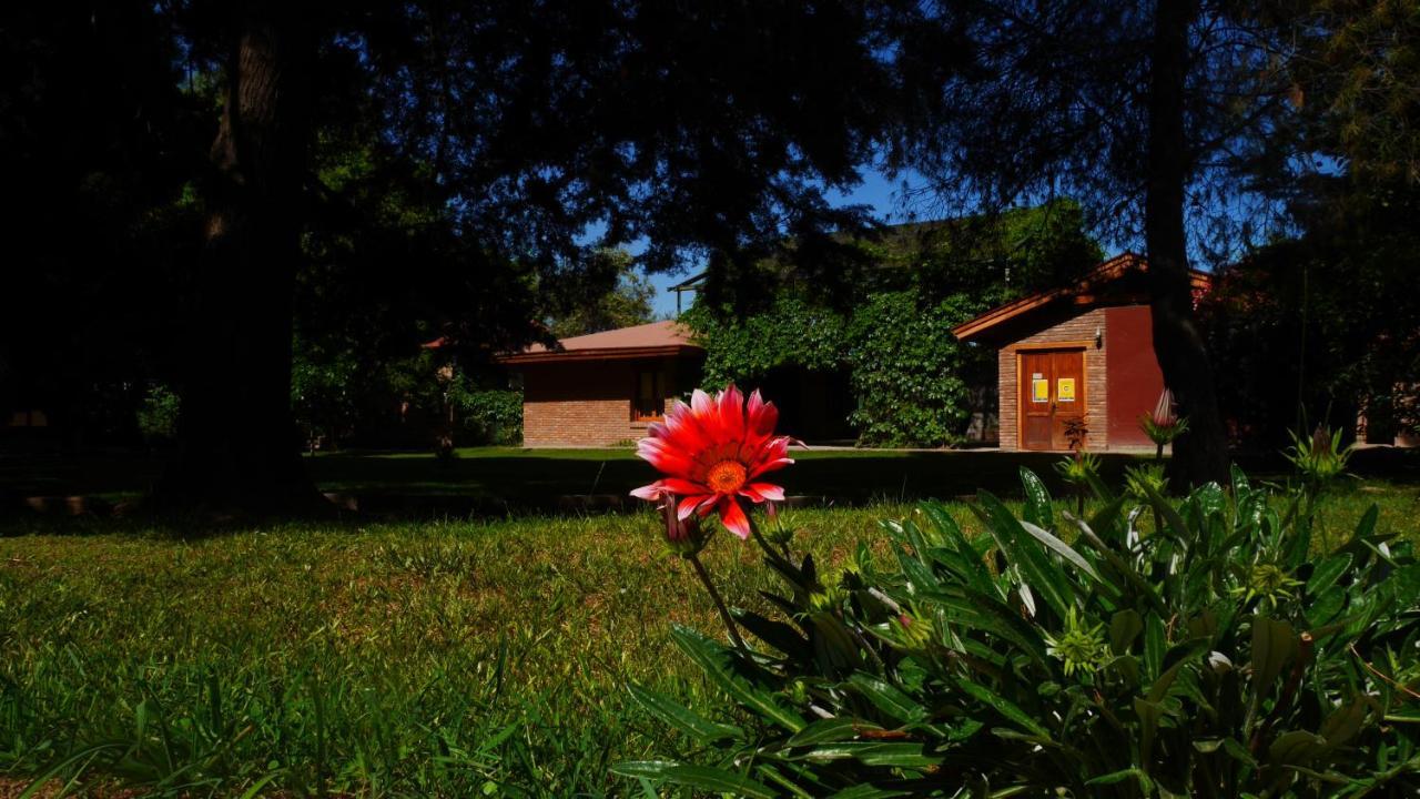 Lujan De Cuyo B&B Exteriör bild